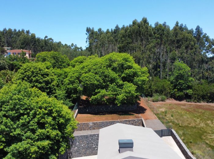 RemoteMediaFile_6553634_0_2022_06_12_12_50_36